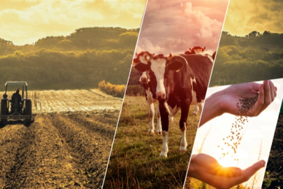 Çiftçiye 1,1 milyar TL'lik destek ödemesi başladı